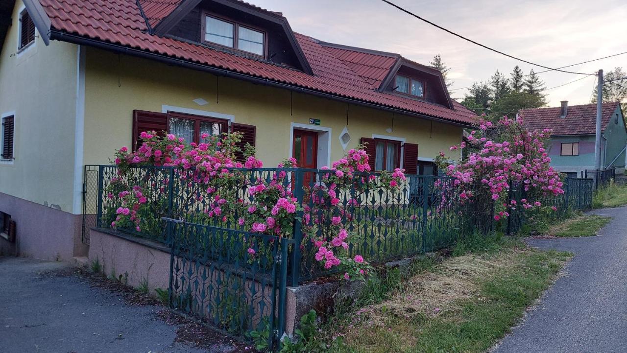 Kuca Za Odmor ,Erdelj 21 B Apartment Generalski Stol Exterior foto