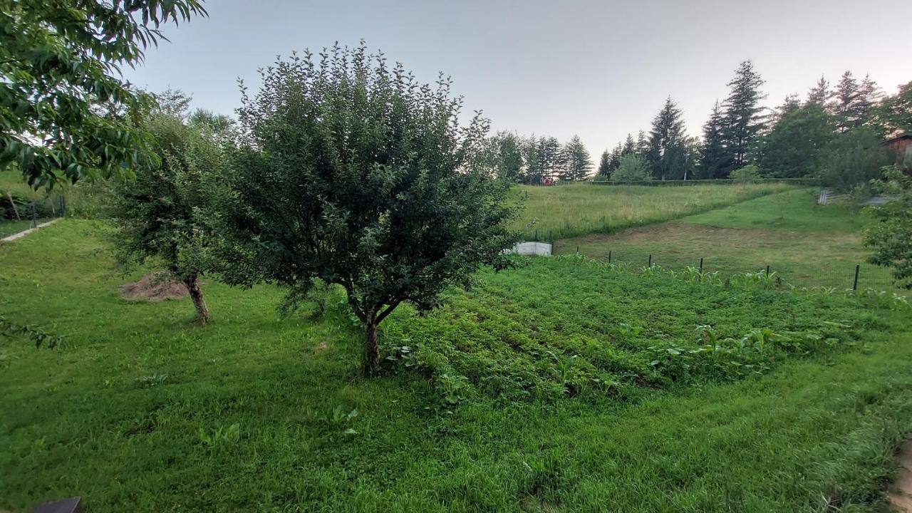 Kuca Za Odmor ,Erdelj 21 B Apartment Generalski Stol Exterior foto